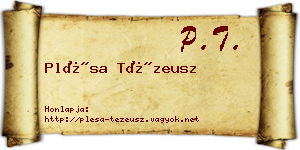Plésa Tézeusz névjegykártya